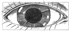 GoldenEye Main Title storyboard 60