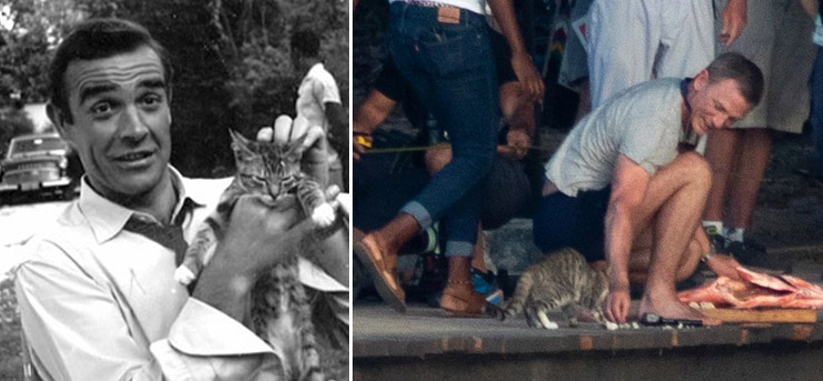 Sean Connery and Daniel Craig befriend feral cats whilst on location in Jamaica.