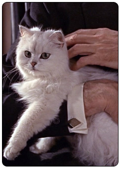 Ernst Stavro Blofeld played by Anthony Dawson