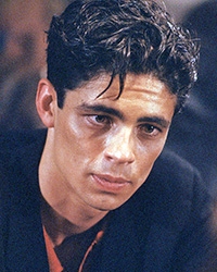 Dario (Benicio Del Toro)