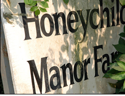 Honeychild Manor Farm