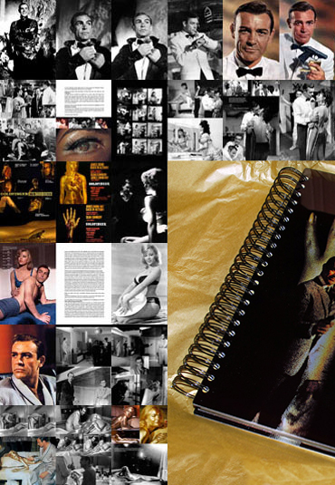 Goldfinger Portfolio montage of pages